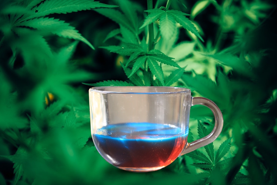 palo azul drug test