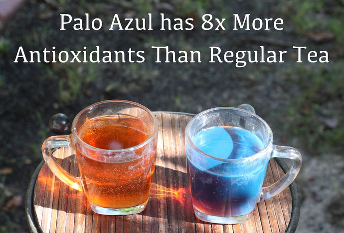 Studies Show Palo Azul Has 8x More Antioxidant Capacity Than Regular Tea