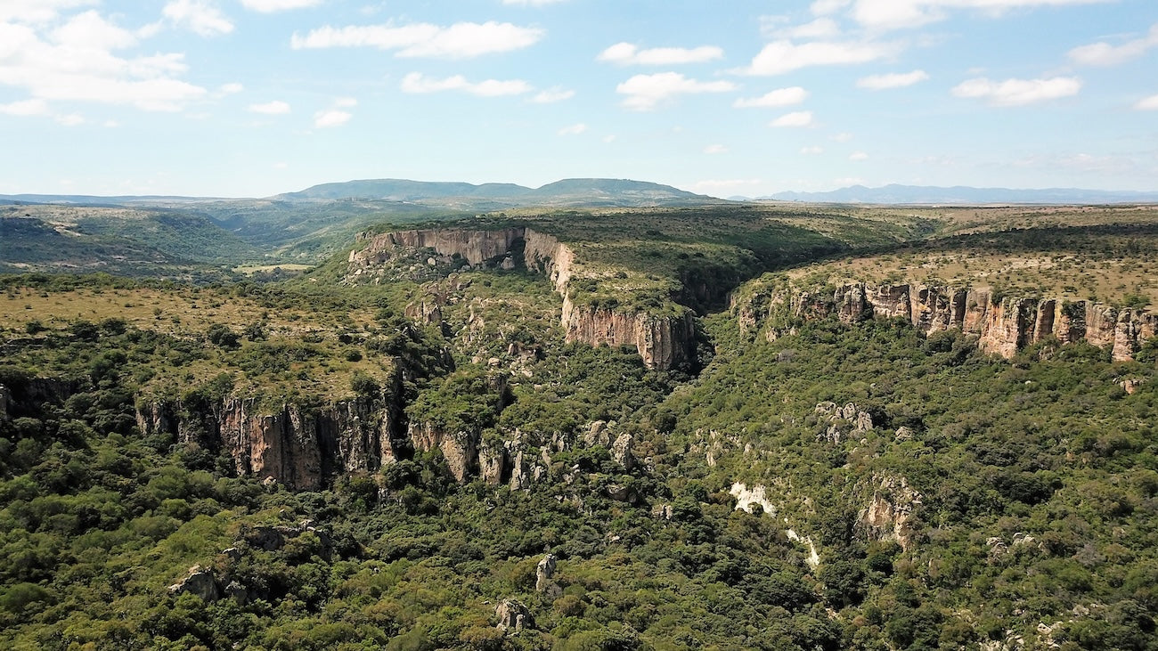5_ranch-landscape.jpg