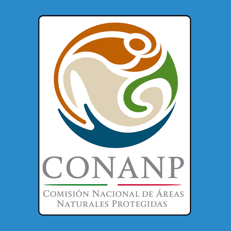 conanp-blue.png