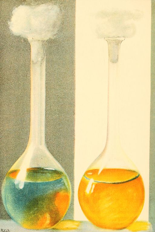 lignum-nephricitum-2.jpg