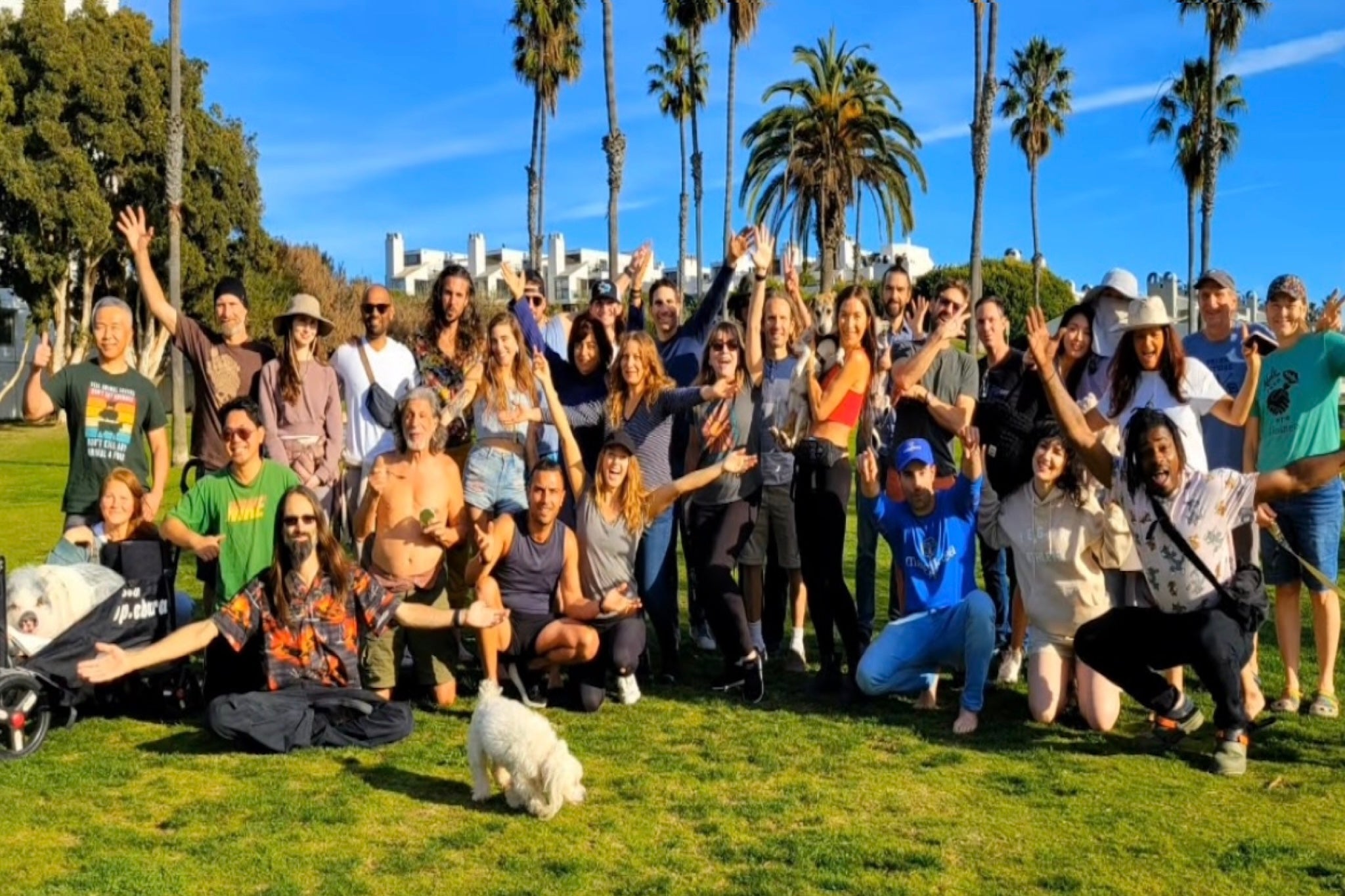 Vegan_Meetup_e7f7af9e-55b3-4869-a3dc-bc8c2d98b933.jpg